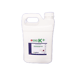 EBG K+