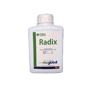 EBG RADIX