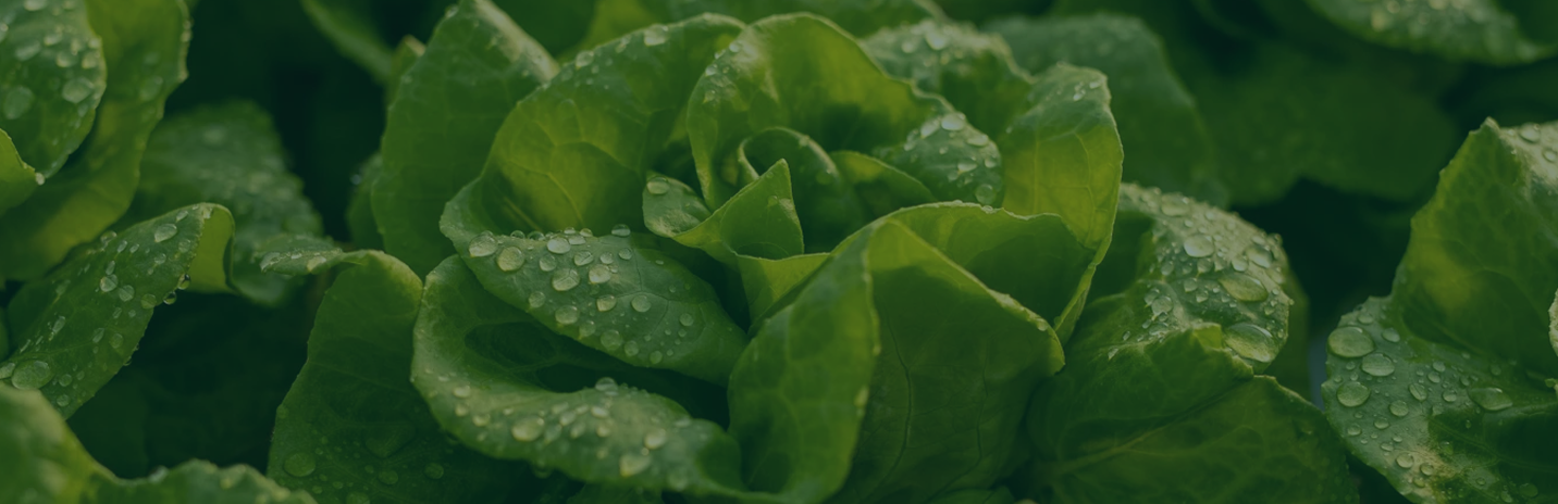 Bilimle Güçlenen<br> Biyolojik Çözümler.