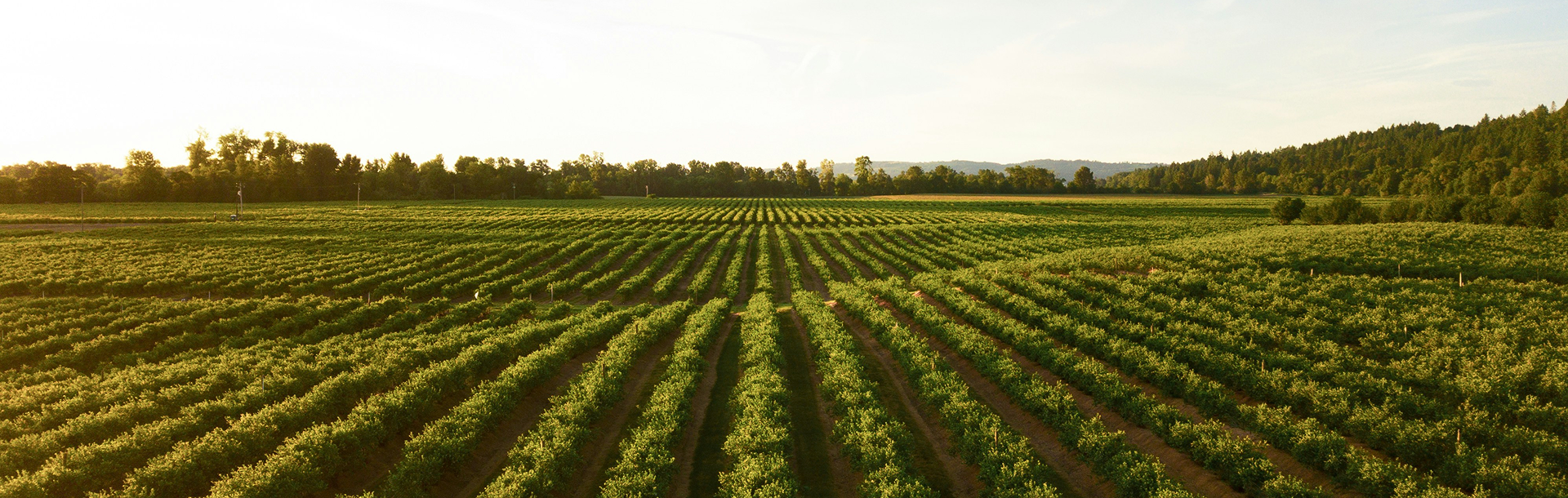 We are protecting the future of agriculture with the power of nature.